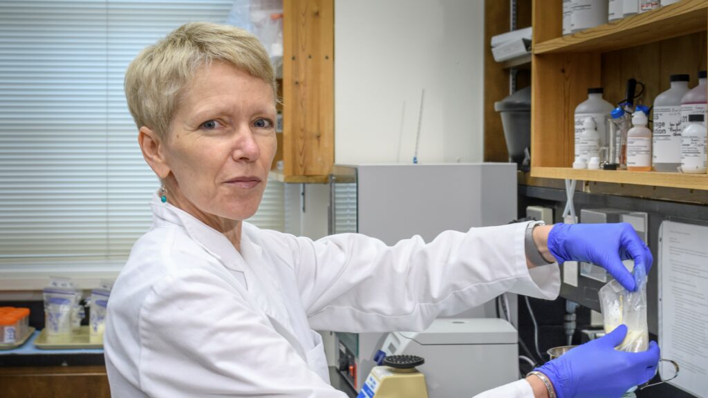 Dr Maryanne Perrin working with banked human milk.